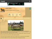 Tablet Screenshot of chevalsante95.skyrock.com