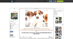 Desktop Screenshot of jack--russel.skyrock.com