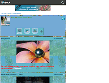 Tablet Screenshot of bibisophietahiti.skyrock.com