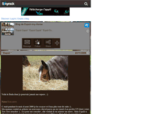 Tablet Screenshot of espoir-my-horse.skyrock.com