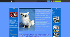 Desktop Screenshot of chihuahuas02.skyrock.com