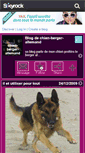 Mobile Screenshot of chien-berger-allemand.skyrock.com