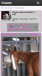 Mobile Screenshot of douzy-espace-equestre-o8.skyrock.com