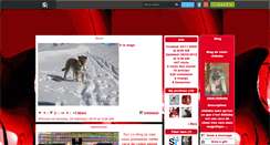 Desktop Screenshot of chiot-shikoku.skyrock.com
