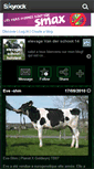 Mobile Screenshot of elevage-schoot-holstein.skyrock.com