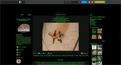 Desktop Screenshot of leogecko86.skyrock.com