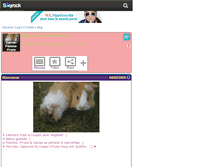 Tablet Screenshot of cerise-pomme-prune.skyrock.com