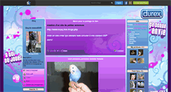 Desktop Screenshot of oiseaux60400.skyrock.com