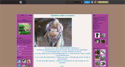 Desktop Screenshot of equitationventeaccesoire.skyrock.com