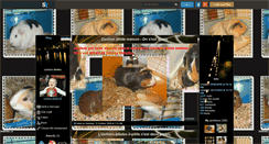 Desktop Screenshot of cochon-dinde-59.skyrock.com