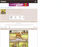 Tablet Screenshot of eronn-nintendogs.skyrock.com