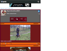 Tablet Screenshot of bassethound59211.skyrock.com