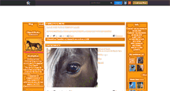 Desktop Screenshot of cheval-photo-concours.skyrock.com