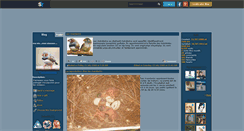Desktop Screenshot of amisdesoiseau.skyrock.com
