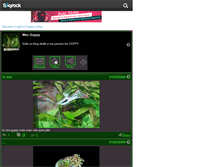 Tablet Screenshot of guppynos.skyrock.com