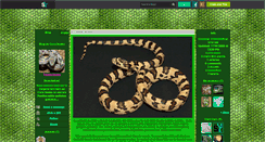 Desktop Screenshot of corn-snake.skyrock.com