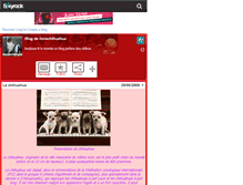 Tablet Screenshot of ilovechihuahua.skyrock.com