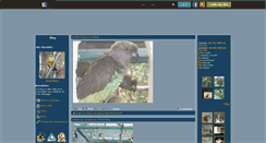 Desktop Screenshot of amioiseaux.skyrock.com