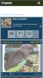 Mobile Screenshot of amioiseaux.skyrock.com