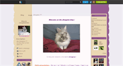 Desktop Screenshot of choupine0401.skyrock.com