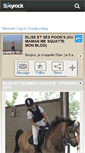 Mobile Screenshot of anneetelisequemeo.skyrock.com