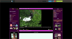 Desktop Screenshot of miss92404.skyrock.com