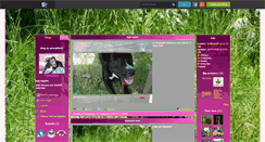 Desktop Screenshot of amstaff0207.skyrock.com