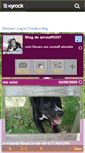 Mobile Screenshot of amstaff0207.skyrock.com