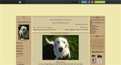 Desktop Screenshot of golden-doogy.skyrock.com