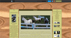 Desktop Screenshot of fontaine-ste-genevieve.skyrock.com
