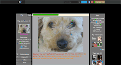 Desktop Screenshot of pitchoune-ii.skyrock.com