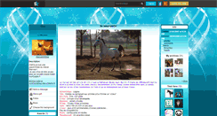 Desktop Screenshot of marwari-horse.skyrock.com