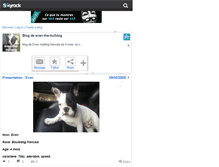 Tablet Screenshot of even-the-bulldog.skyrock.com