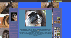 Desktop Screenshot of mister-cochon.skyrock.com