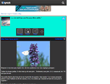 Tablet Screenshot of fleursdemonjardin.skyrock.com