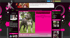 Desktop Screenshot of amstaff-cayla.skyrock.com