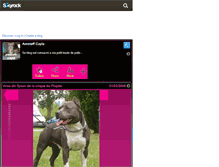 Tablet Screenshot of amstaff-cayla.skyrock.com