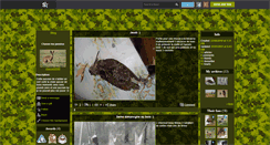 Desktop Screenshot of chasse50500.skyrock.com