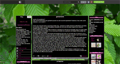 Desktop Screenshot of gendarmerieraffounette.skyrock.com