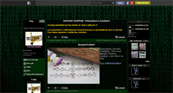 Desktop Screenshot of discount-shopping.skyrock.com