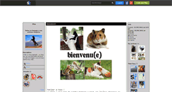 Desktop Screenshot of hommage-a-vos-animaux.skyrock.com