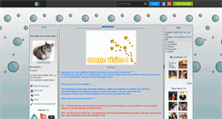 Desktop Screenshot of chinchilla-infos.skyrock.com