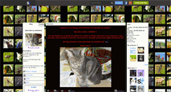 Desktop Screenshot of animaux-sauver.skyrock.com