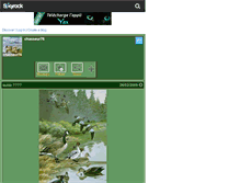 Tablet Screenshot of chasseur76.skyrock.com