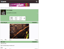 Tablet Screenshot of biotop-crevette.skyrock.com