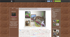 Desktop Screenshot of lapin--nain--agility.skyrock.com