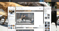 Desktop Screenshot of julioattrapaire30.skyrock.com