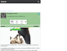 Tablet Screenshot of aidons--les--animaux.skyrock.com