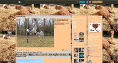 Desktop Screenshot of conseil-equitation.skyrock.com