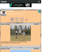 Tablet Screenshot of conseil-equitation.skyrock.com